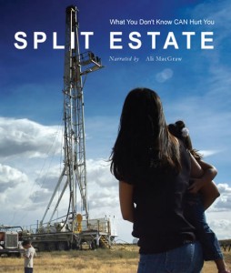 split_estate_poster